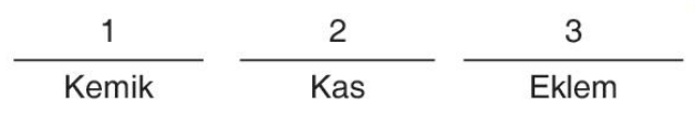 sik gorseli