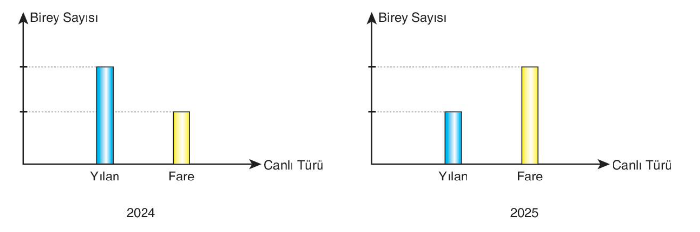 soru gorseli