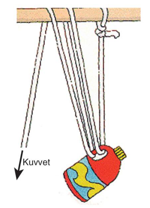 soru gorseli