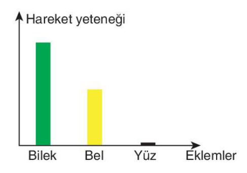 sik gorseli