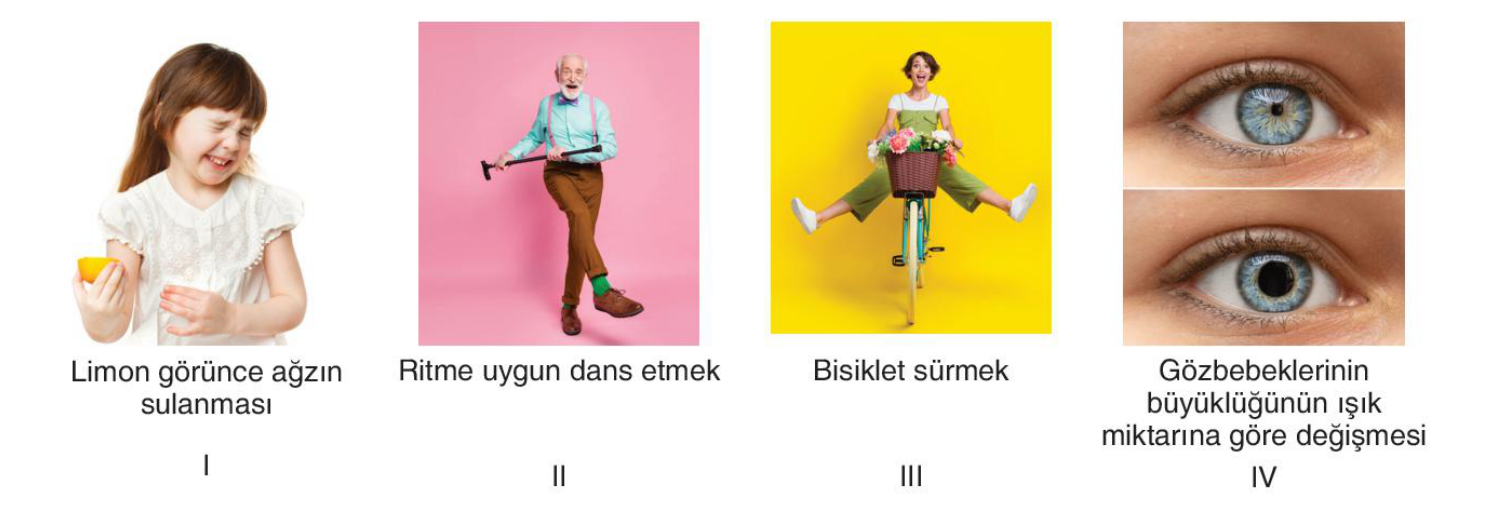 soru gorseli