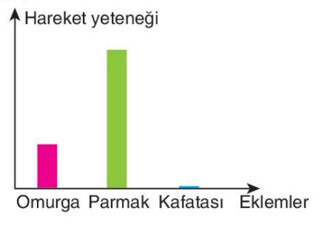 sik gorseli