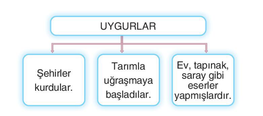 soru gorseli