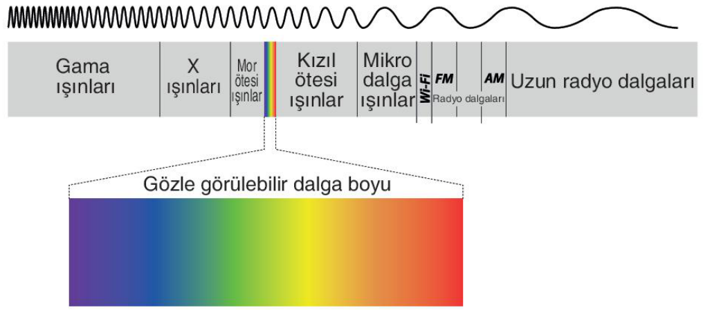 soru gorseli
