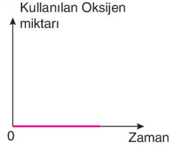 sik gorseli