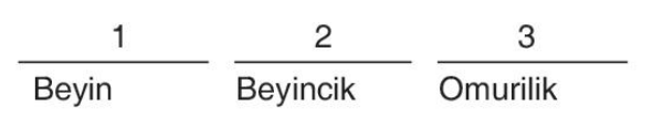 sik gorseli