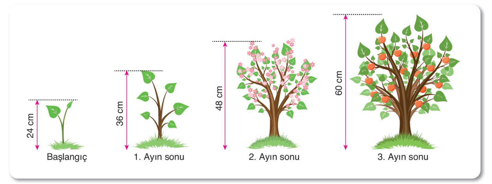 soru gorseli