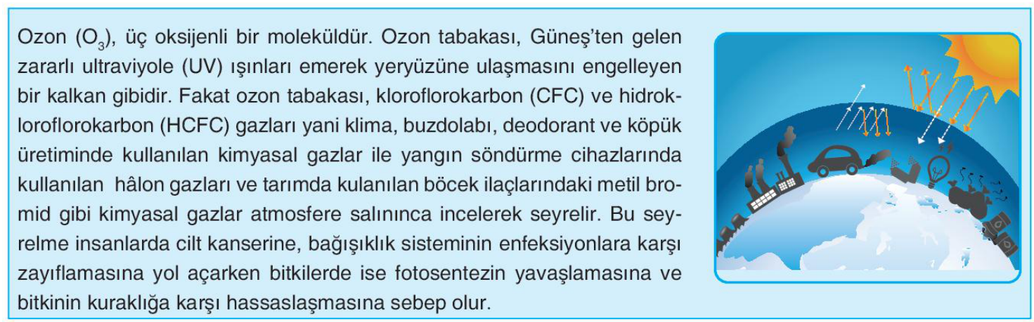 soru gorseli