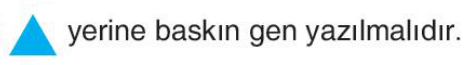 sik gorseli