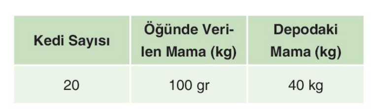 soru gorseli