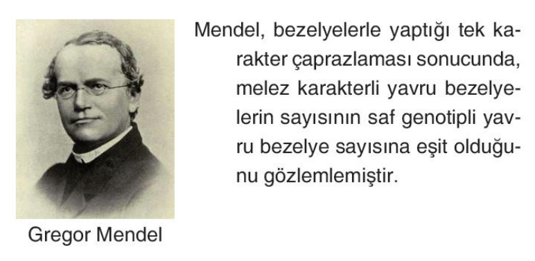 soru gorseli