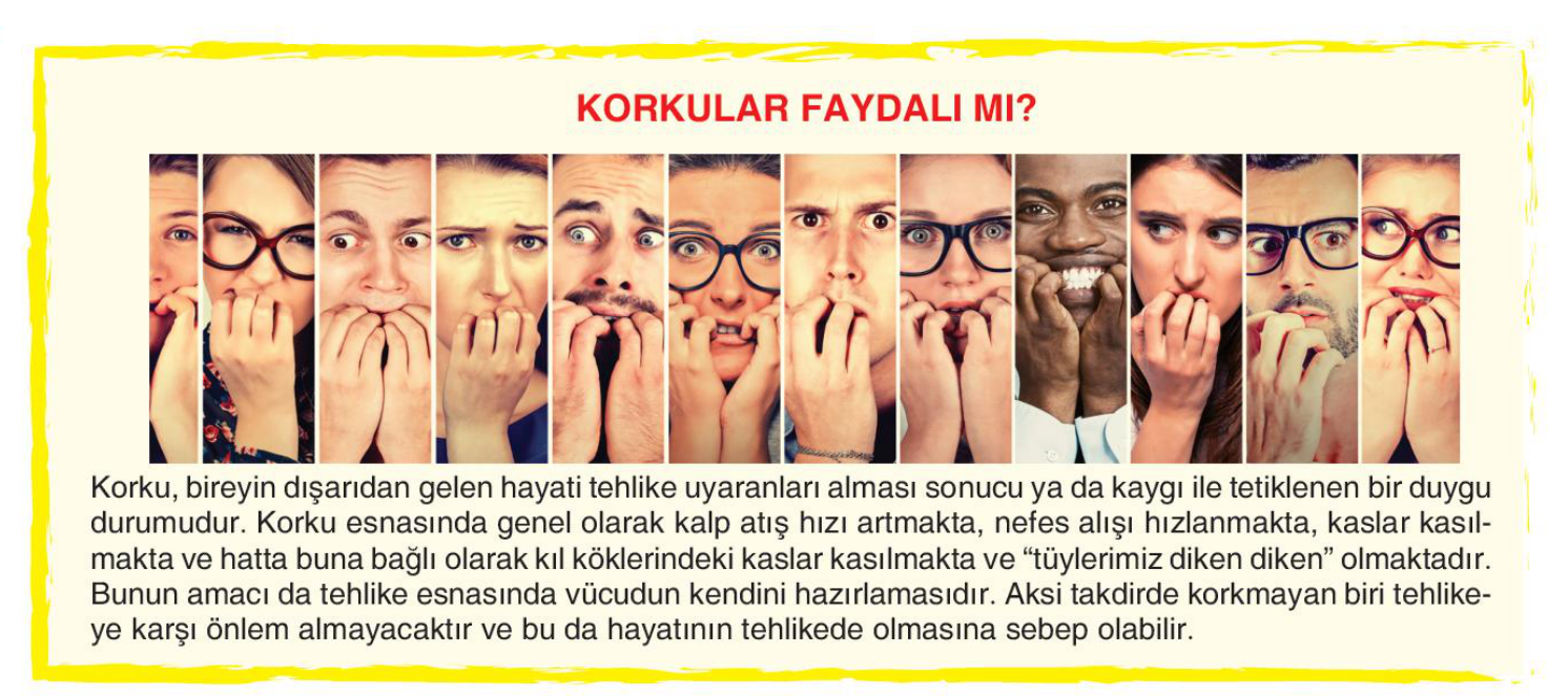 soru gorseli