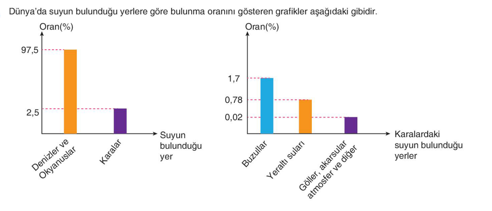 soru gorseli