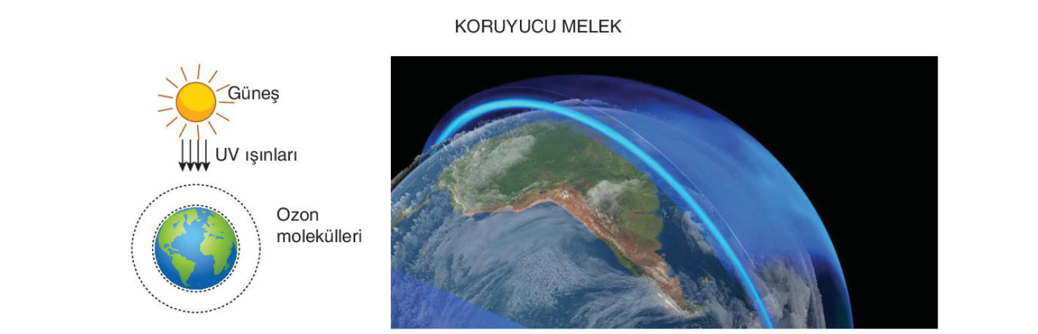 soru gorseli