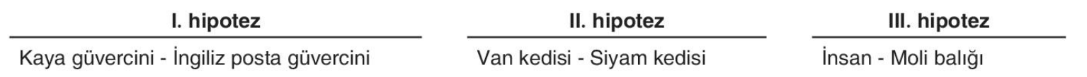 sik gorseli
