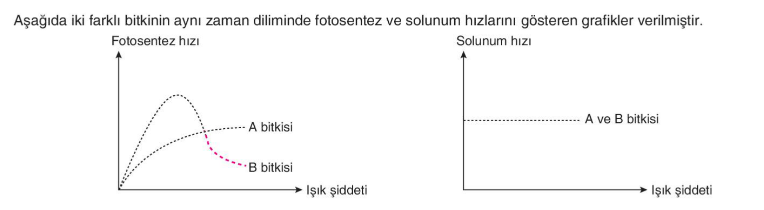 soru gorseli