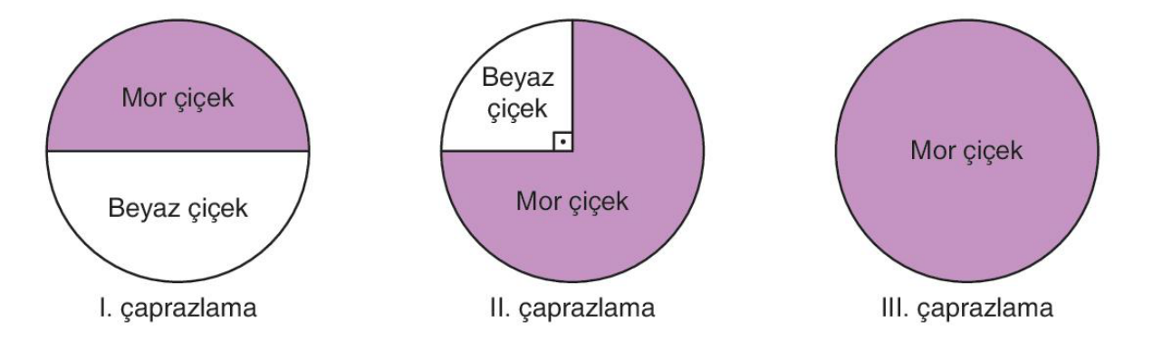 soru gorseli