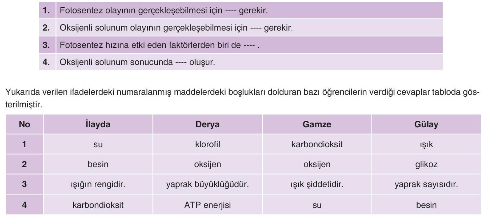soru gorseli