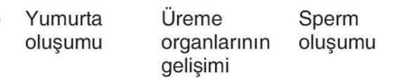 sik gorseli