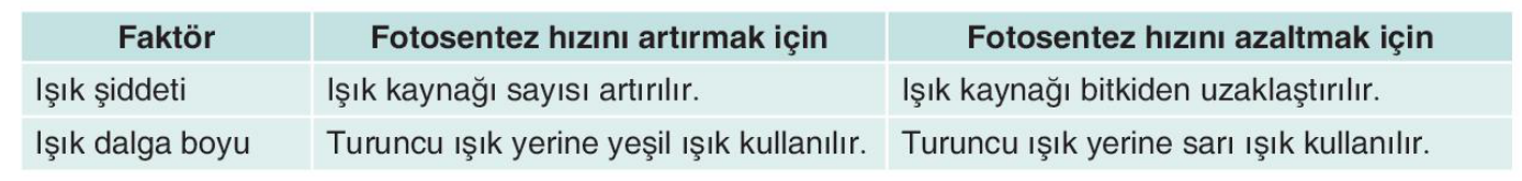 sik gorseli
