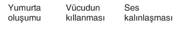 sik gorseli