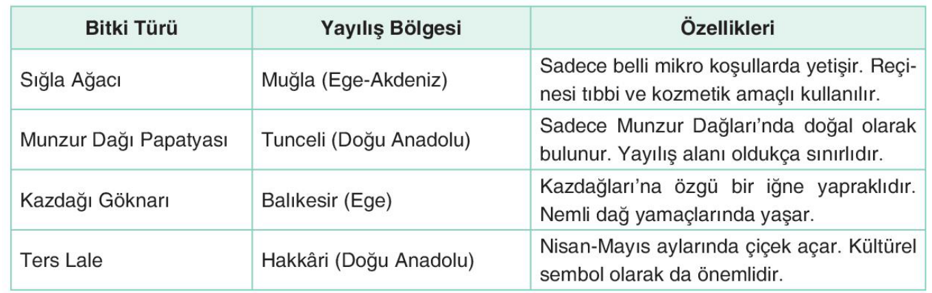 soru gorseli