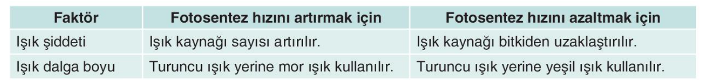 sik gorseli