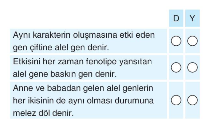 soru gorseli