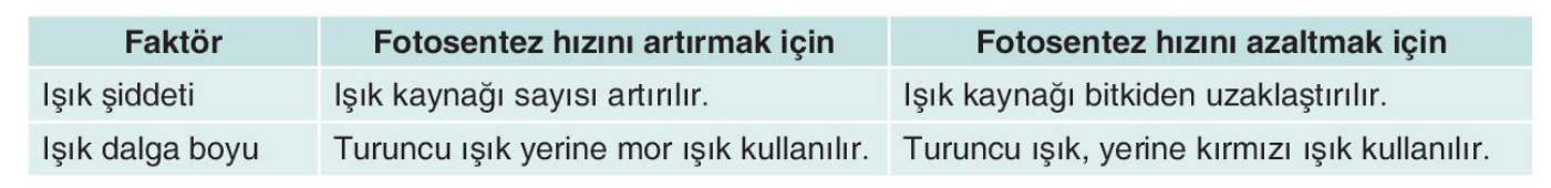 sik gorseli