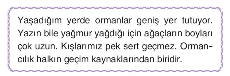 soru gorseli