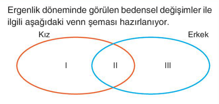soru gorseli