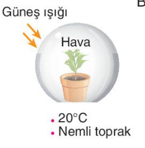 sik gorseli