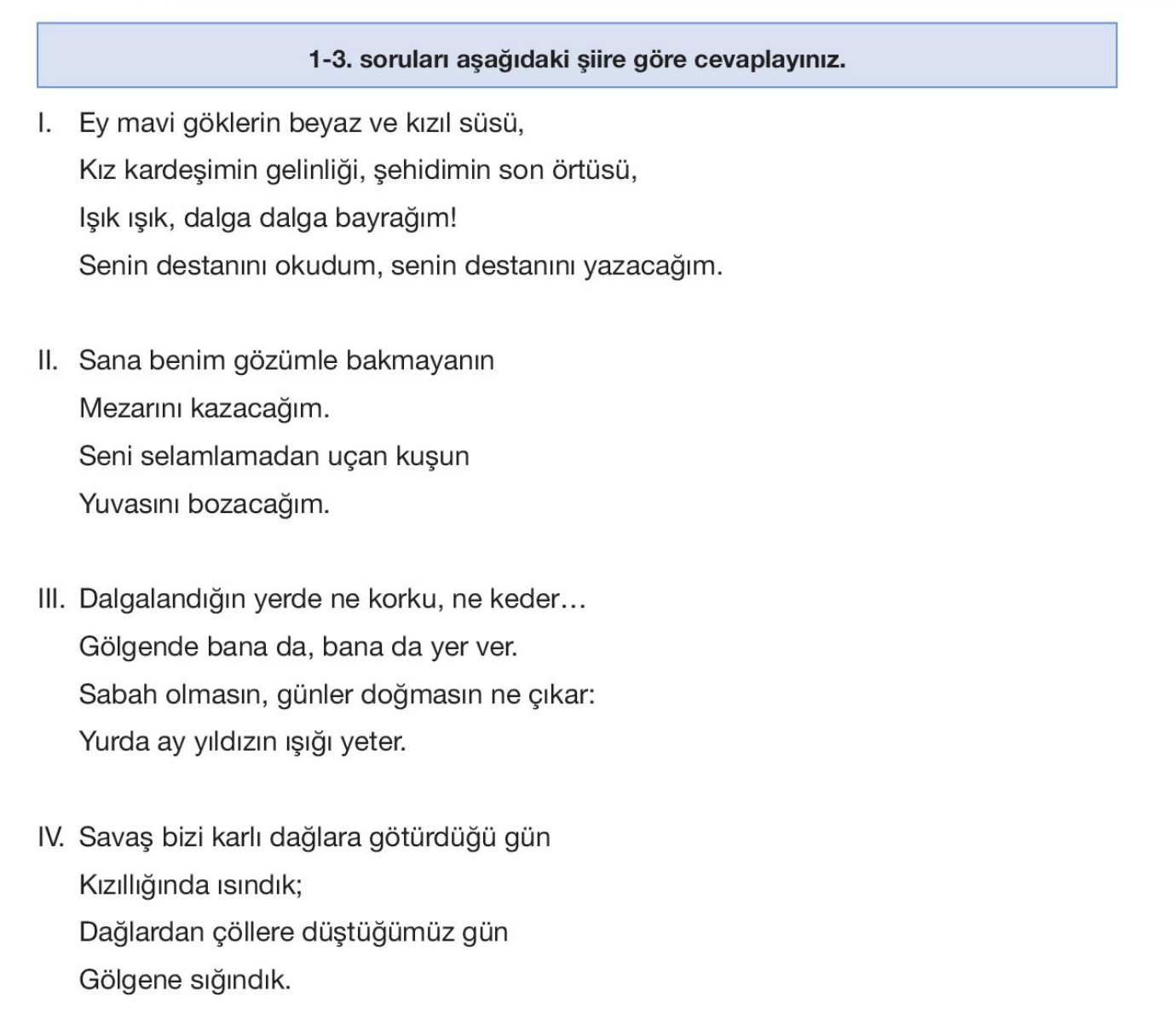 soru gorseli