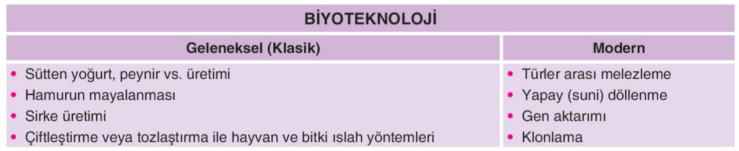 soru gorseli