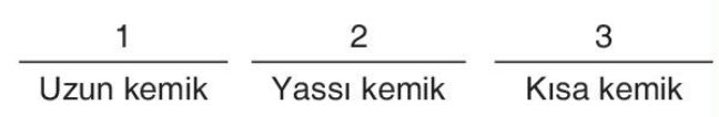 sik gorseli