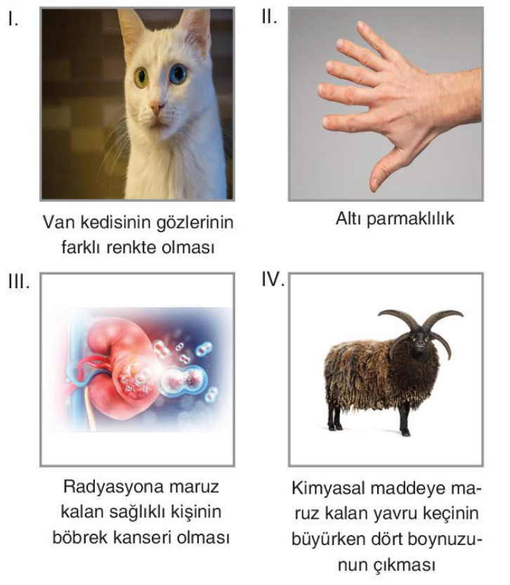 soru gorseli