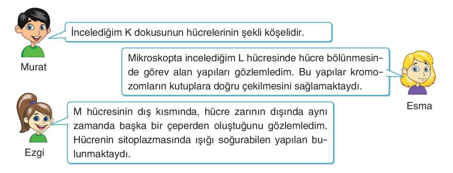 soru gorseli