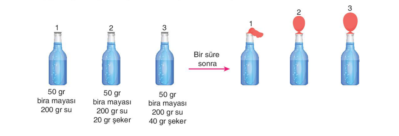 soru gorseli