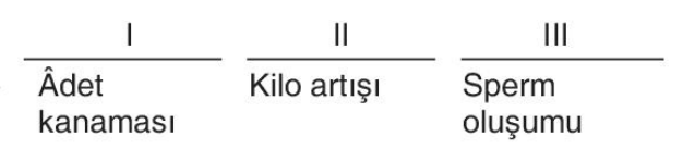 sik gorseli