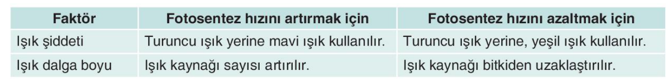 sik gorseli