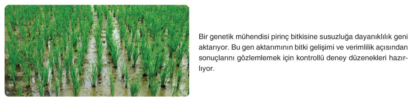 soru gorseli