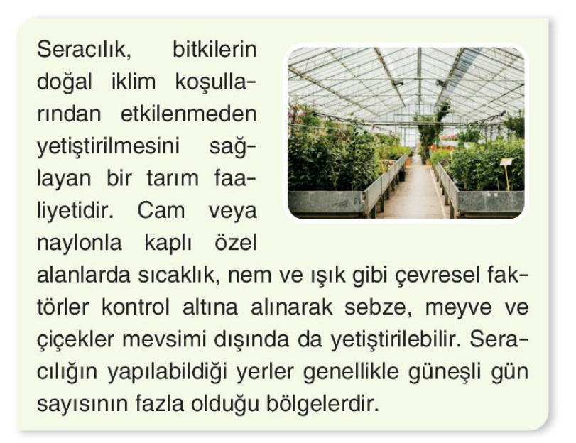 soru gorseli