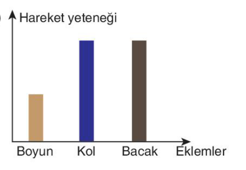 sik gorseli