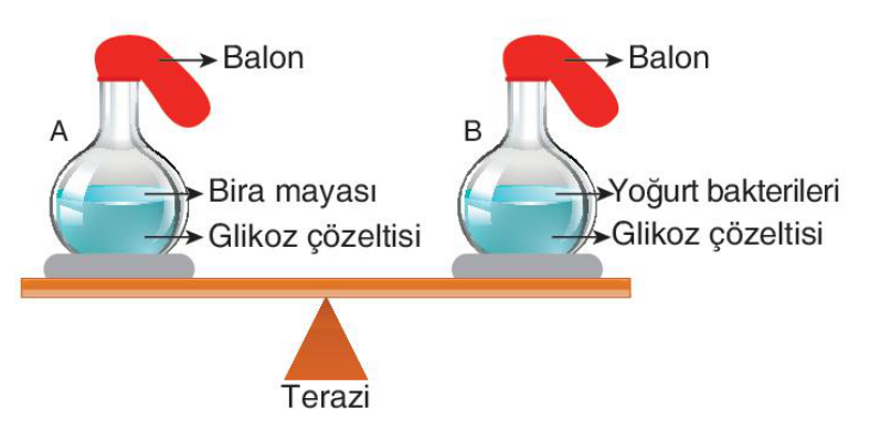 soru gorseli