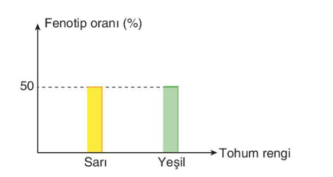 soru gorseli