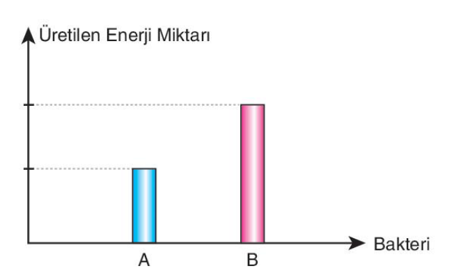 soru gorseli