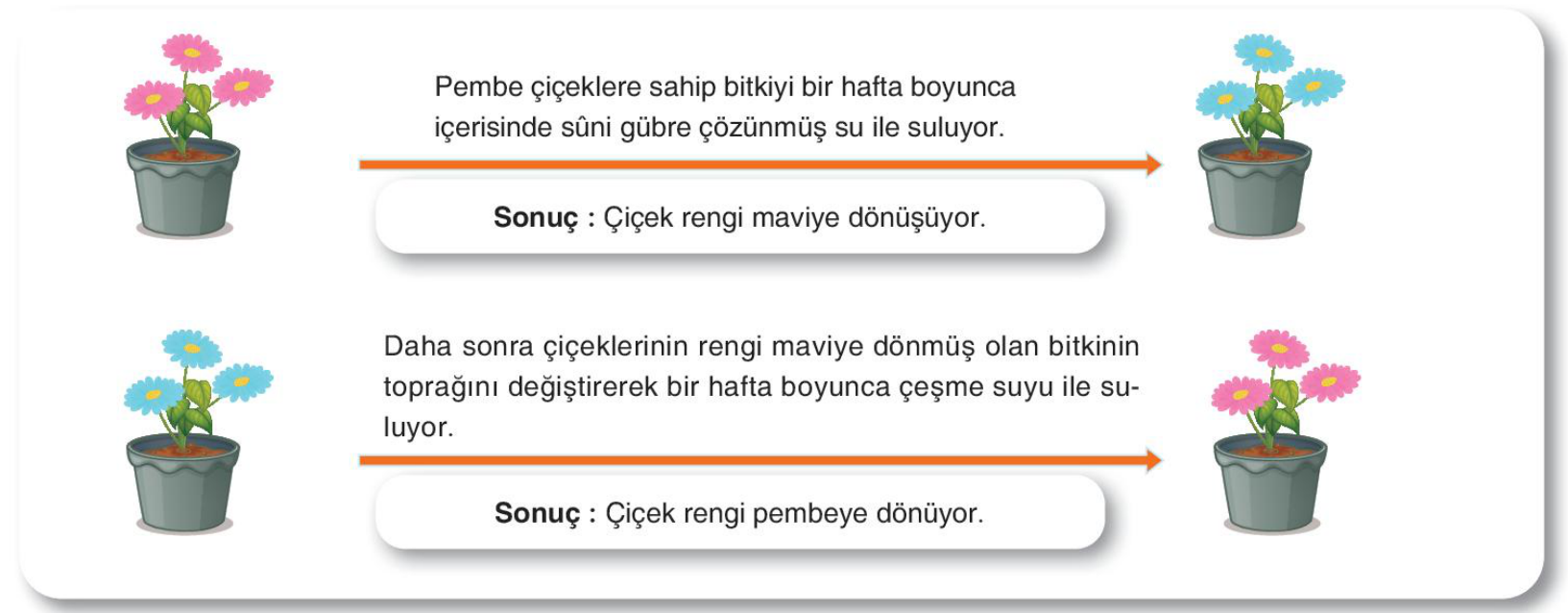 soru gorseli