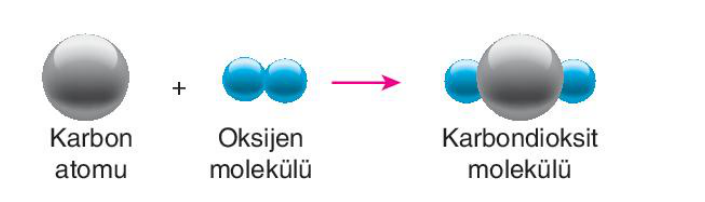 soru gorseli