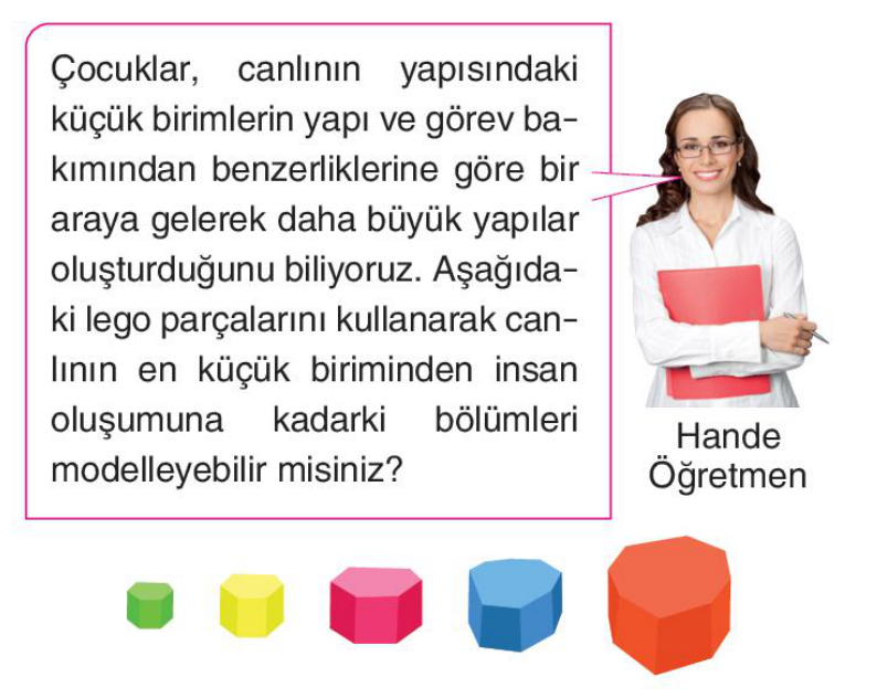 soru gorseli