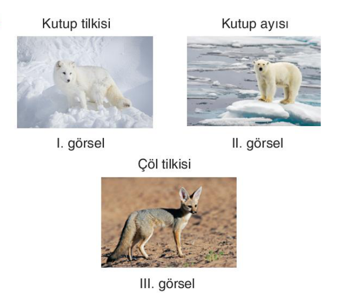 soru gorseli